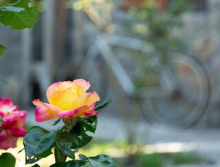 Апартаменты Plamenatz studio apartments Вирпазар Апартаменты с 1 спальней-12