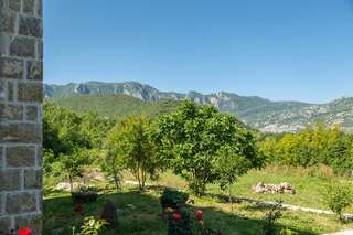 Апартаменты Plamenatz studio apartments Вирпазар Апартаменты с 1 спальней-17